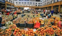 海南水果市场爆料视频,新鲜爆满，热带风情尽享一“果”