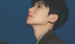 任嘉伦王源最新爆料,揭秘明星幕后故事与心路历程