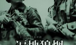 狼烟电视剧在线观看,烽火岁月中的抗战传奇