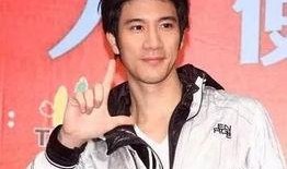 王力宏室内爆料了吗视频,揭秘娱乐圈不为人知的秘密