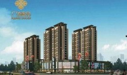 儋州家园广场爆料视频最新,惊人事件引发热议！