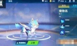 飞车手游最新爆料宠物