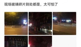 辽宁饭店爆料视频播放大全,揭秘幕后真相与精彩瞬间