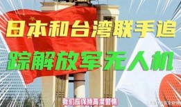 台北最新爆料,揭秘城市背后的惊人真相