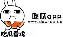 网红被打吃瓜视频下载