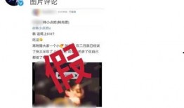 青枫工作室爆料更新视频,揭秘视频背后的精彩瞬间