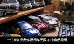 车商爆料视频完整版,深度解析二手车市场内幕