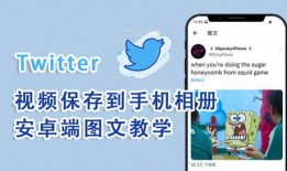 推特爆料视频大全,揭秘网络热点背后的真相与幕后故事”