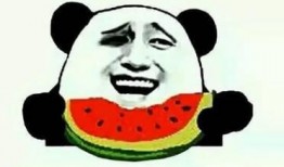 吃瓜群众娱乐微信,揭秘娱乐圈幕后故事，带你领略明星生活点滴