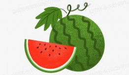 吃瓜网红照片头像手绘图,手绘头像背后的故事