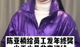 陈亚楠员工爆料了吗视频,揭秘背后真相