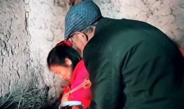 老实老头爆料视频播放在线观看,独家内容在线观看揭秘