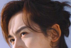 娱乐圈八卦爆料最新肖战,娱乐圈再掀波澜