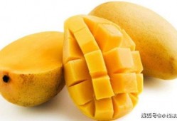 芒果最新爆料深圳网友,芒果最新爆料揭秘幕后真相