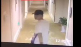 女子爆料酒店视频大全播放,女子爆料视频大全引发热议