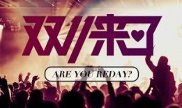 辽宁饭店爆料视频播放大全,揭秘幕后真相与精彩瞬间