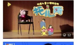 摩尔最新爆料新闻视频播放