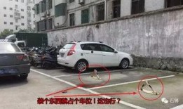 石狮车位价格最新爆料,涨跌动态一览无余