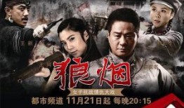 狼烟电视剧在线观看,烽火岁月中的抗战传奇
