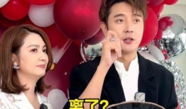 真实婚姻爆料视频,视频爆料揭示夫妻间惊人秘密