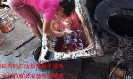 辣条生产爆料视频播放大全,爆料视频大合集深度解析