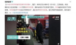 深圳爆料爷爷后续视频下载,事件真相与网友热议