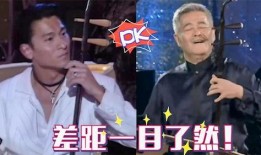 二胡爆料刘德华视频播放