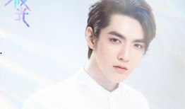 圈内爆料鹿晗李易峰,揭秘娱乐圈两大流量小生的不为人知故事”