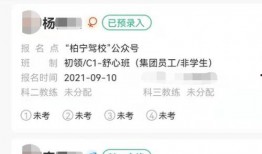 驾校视频爆料大全免费版,揭秘学车全过程