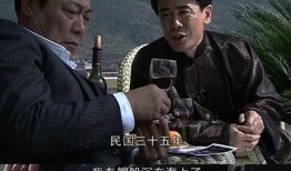 潜伏连续剧在线观看,揭秘特工潜伏岁月，在线观看惊心动魄