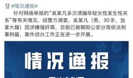 英媒爆料后续新闻报道内容,后续新闻报道揭示惊人内幕