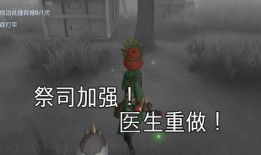 第五人格医生年现今爆料最新,神秘事件揭开面纱