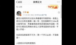 新版爆料大结局视频,揭秘剧情高潮与结局悬念