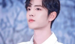 爆料肖战版权事件视频下载,揭秘背后真相与争议