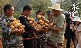 农民视频在线观看影片,农民视角下的在线电影盛宴