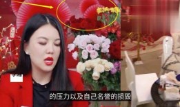 明星直播爆料瞬间视频大全,揭秘娱乐圈幕后花絮