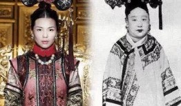 大清后宫在线观看,宫廷权谋与爱恨情仇的华丽演绎