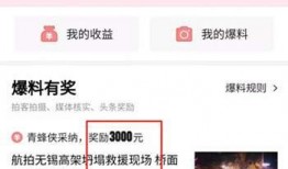 哪个网站看爆料视频,深度解析网络热点事件