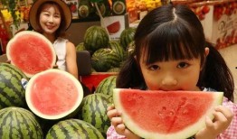 全网吃瓜免费下载,畅享娱乐盛宴