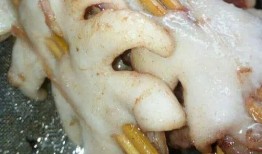 冰鲜大鱿鱼爆料视频,揭秘幕后加工全过程