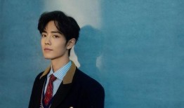 爆料肖战版权事件视频下载,揭秘背后真相与争议