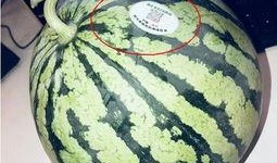 吃瓜网红图片大全集,带你领略网红风采