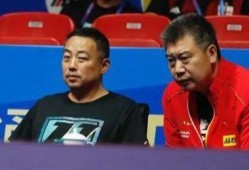 乒乓球员爆料视频播放大全,揭秘精彩瞬间与幕后故事