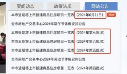 新闻爆料表,揭秘事件背后真相