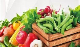 惠州食物爆料案件最新