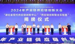 湖北一工厂爆料新闻,揭秘背后惊人真相！