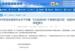 南京导游爆料新闻视频,揭秘古都背后的故事与真相