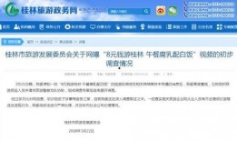 南京导游爆料新闻视频,揭秘古都背后的故事与真相