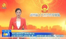 成都晚安爆料新闻事件,揭秘某神秘事件背后真相