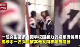 圆子被爆料视频大全,揭秘网络红人的真实生活